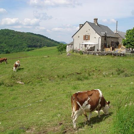 Вилла Chez Marraine Sauvat Экстерьер фото
