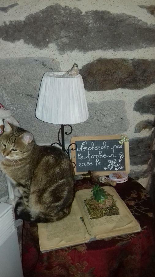 Вилла Chez Marraine Sauvat Экстерьер фото